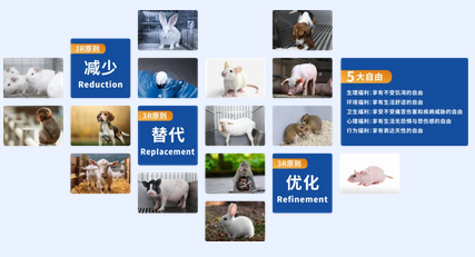 新葡萄8883官网AMG(中国)股份有限公司